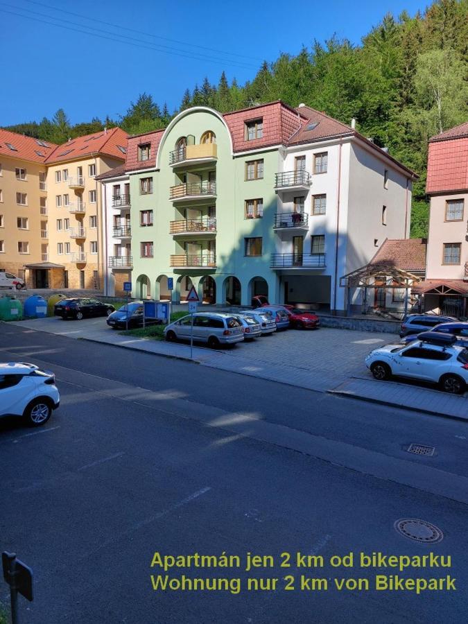 Apartment Apartment Mathis & Mtb-Garage *