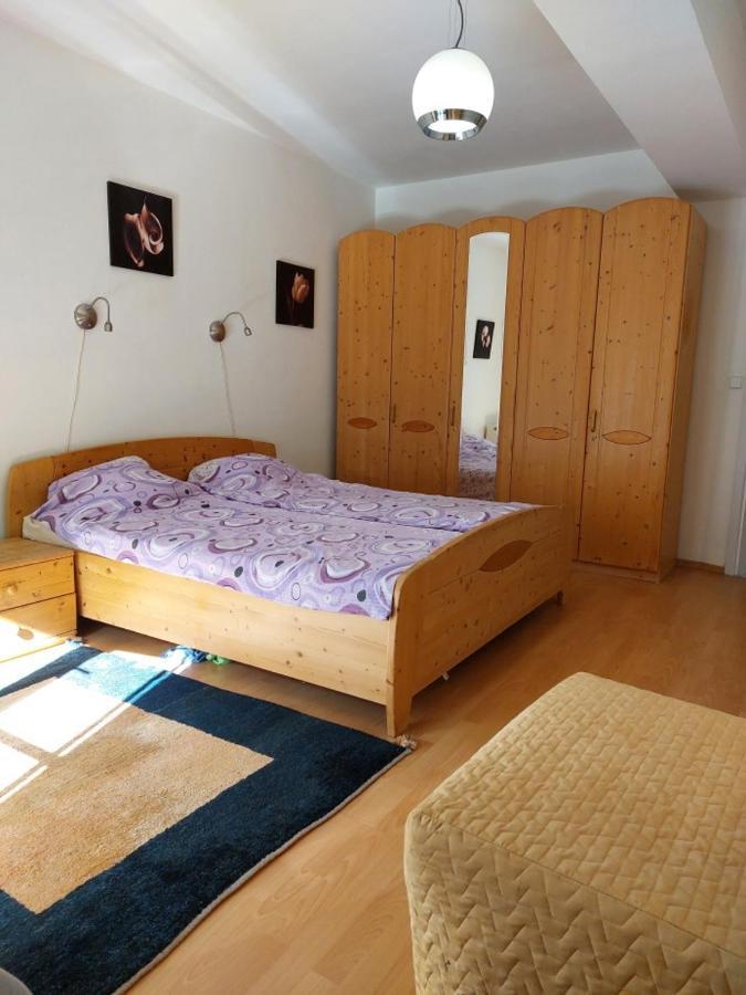 Apartment Mathis & Mtb-Garage Apartment Jachymov